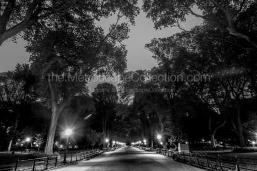 The Mall in Central Park -- New York City Black and White Photos