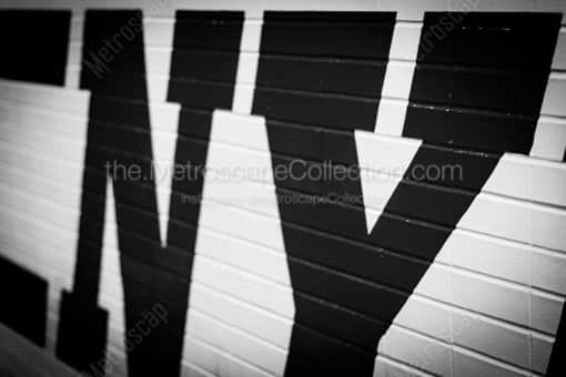 A Big NY in Times Square -- New York City Black and White Photos