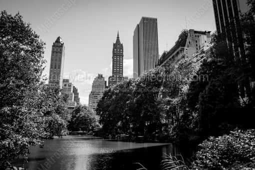 The Central Park Pond -- New York City Black and White Photos