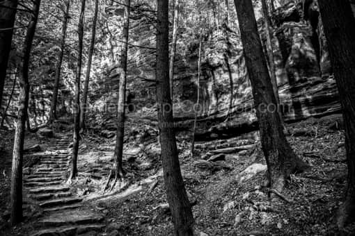 An Old Man's Cave Walking Trail -- Old Mans Cave Black and White Photography