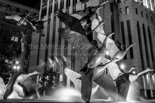 Geese in the Spirit of Nebraska Sculpture Park -- Omaha Black and White Photos