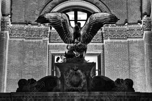 A Bronze Eagle with Spread Open Wings -- Omaha Black and White Photos