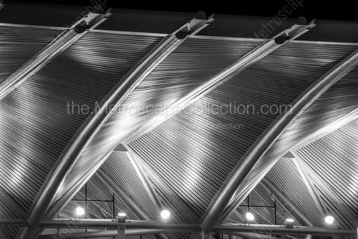Orlando Black and White Photography of The Stainless Steel Canopy of the Dr Phillips Performing Arts Center The Stainless Steel Canopy of the Dr Phillips Performing Arts Center -- Orlando Black and White Photography