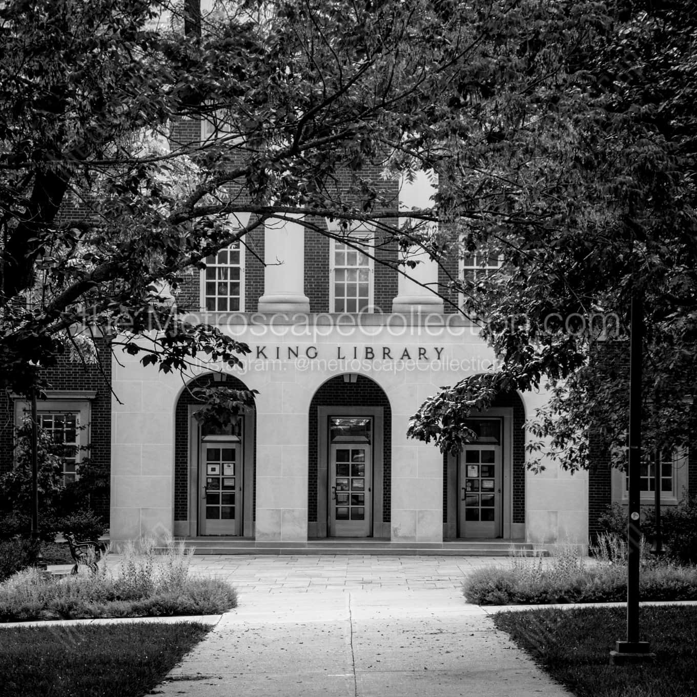 The King Library landscape black and white Photography square crop