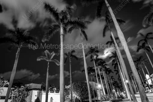 Royal Palm Way on Palm Beach Island -- Palm Beach Black and White Photos