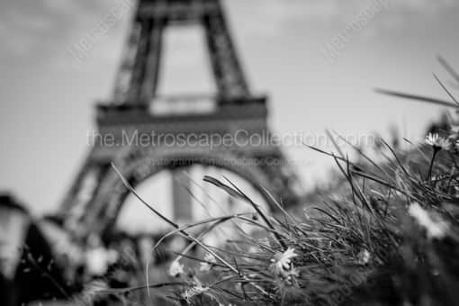 Paris Black and White Photography of The Jardins du Trocadero and Le Tour Eiffel The Jardins du Trocadero and Le Tour Eiffel -- Paris Black and White Photography