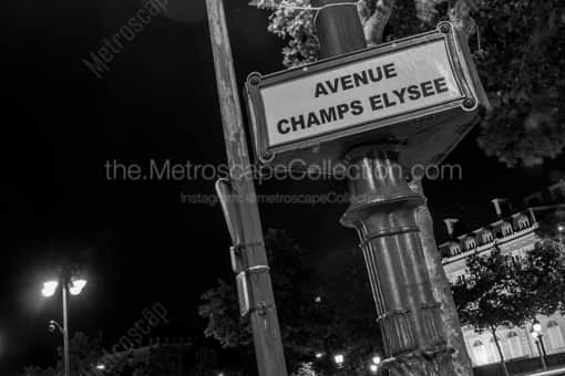 An Avenue Champs-Elysee Lamp Post -- Paris Black and White Photography