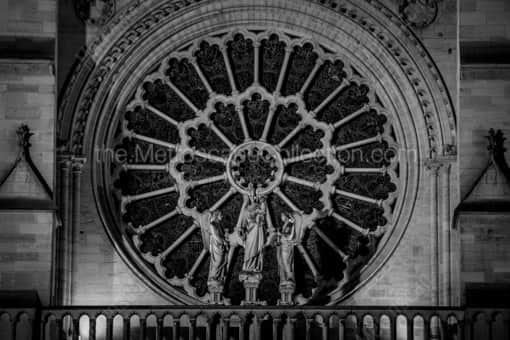 The Rose on Notre Dame de Paris -- Paris Black and White Photography