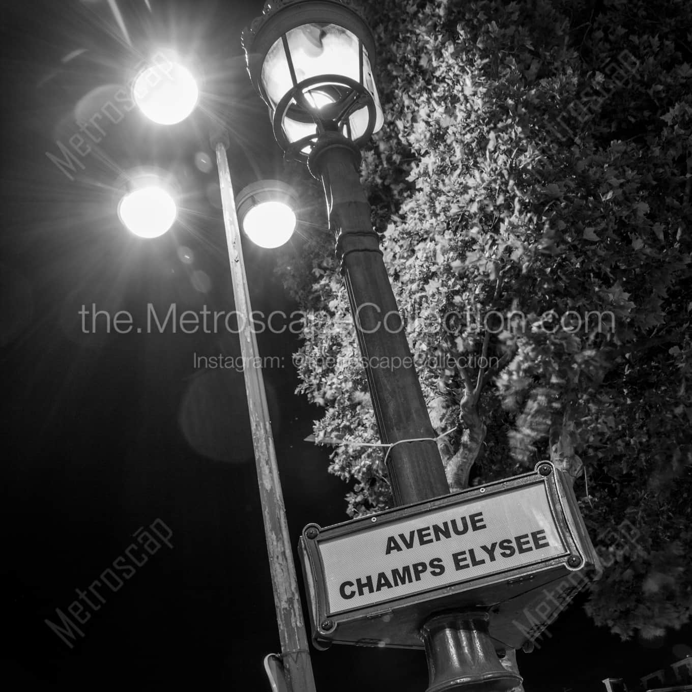 An Avenue Champs-Elysee Lamp Post landscape black and white Photography An Avenue Champs-Elysee Lamp Post landscape black and white Photography square crop