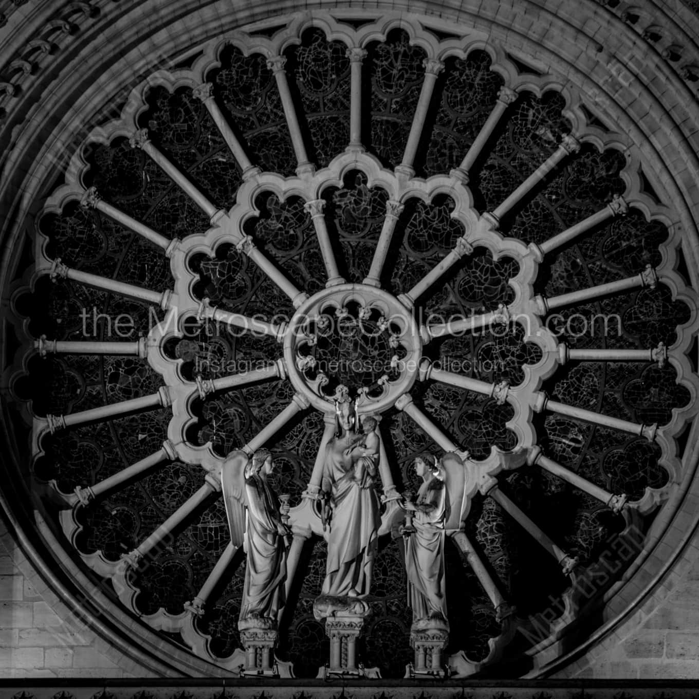 The Rose on Notre Dame de Paris landscape black and white Photography square crop