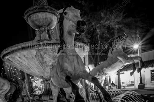 The Bob Parks Horse Fountain -- Phoenix Black and White Photos