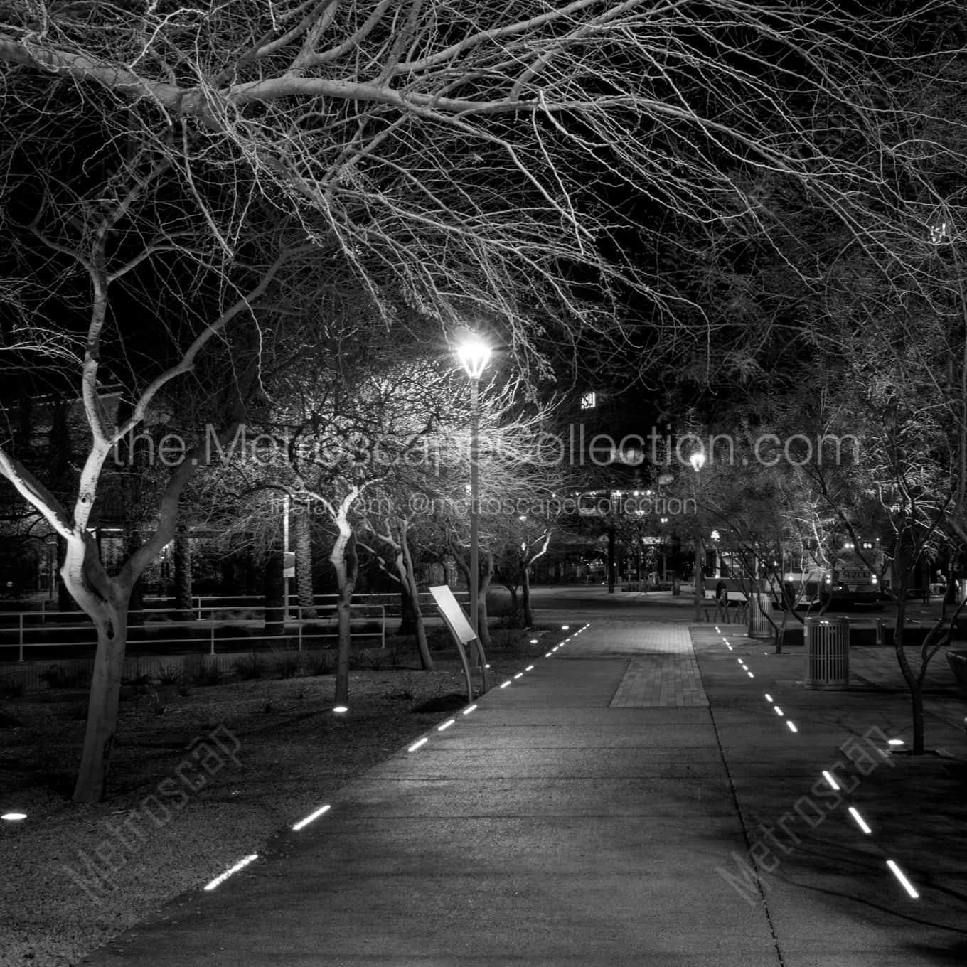 A Lit Path near Phoenix Central Station landscape black and white Photography A Lit Path near Phoenix Central Station landscape black and white Photography square crop