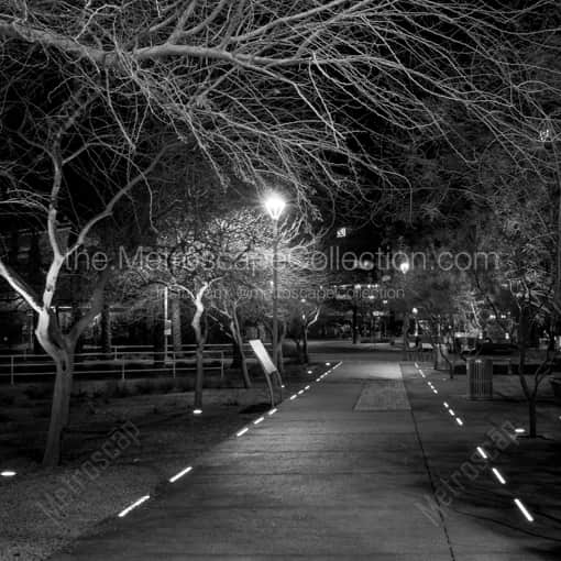Matte Black WOOD Framed Black and White Phoenix Photograph: A Lit Path near Phoenix Central Station in a Square Matte Black Wood Frame