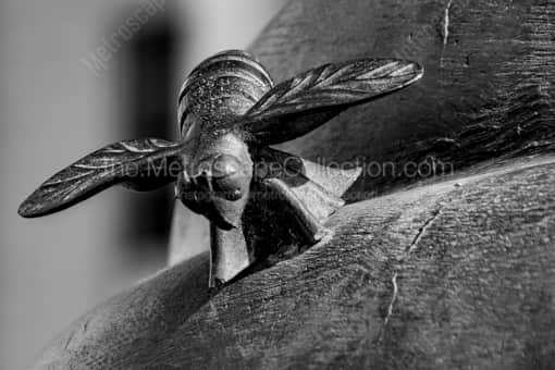 A Bronze Bee -- Salt Lake City Black and White Photos