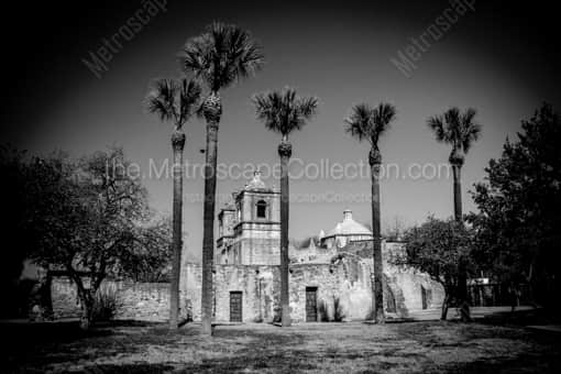 Mission Concepcion -- San Antonio Black and White Photos