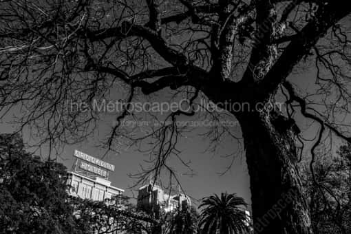 The Crockett Hotel -- San Antonio Black and White Photos
