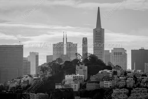 Pioneer Park and Coit Tower -- San Francisco Black and White Photography