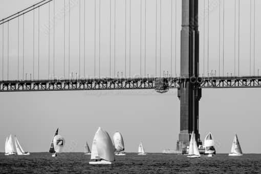 Sailing Around the Golden Gate Bridge -- San Francisco Black and White Photography