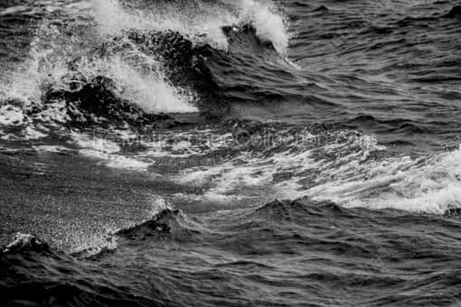San Francisco Black and White Photography of The Wake of a San Francisco Bay Sightseeing Boat The Wake of a San Francisco Bay Sightseeing Boat -- San Francisco Black and White Photography