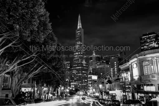 Columbus Drive at Night -- San Francisco Black and White Photography
