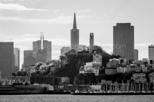 Telegraph Hill and San Francisco Skyline -- San Francisco Black and White Photography
