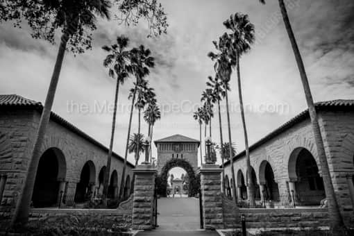 The Stanford Main Quad -- San Francisco Black and White Photography