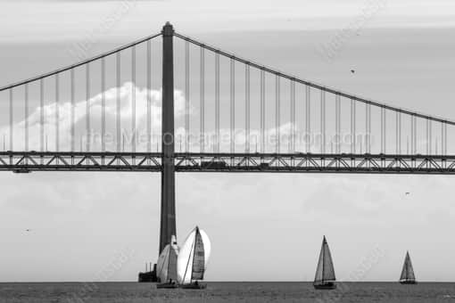 San Francisco Black and White Photography of Double Sets of Sail Boats under the San Francisco Bay Bridge Double Sets of Sail Boats under the San Francisco Bay Bridge -- San Francisco Black and White Photography