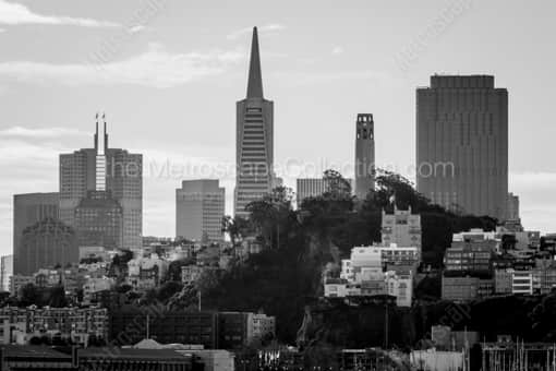 San Francisco Black and White Photography of Telegraph Hill in Downtown San Francisco Telegraph Hill in Downtown San Francisco -- San Francisco Black and White Photography