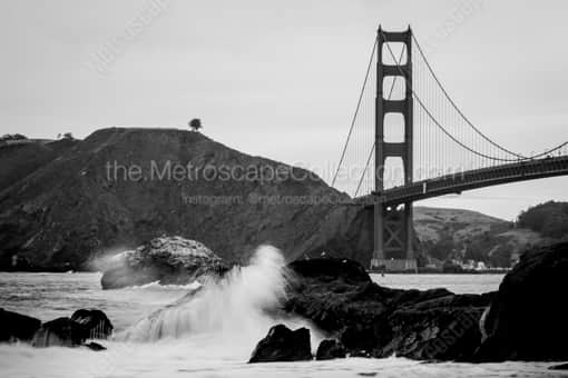 San Francisco Black and White Photography of A Lone Tree Overlooks the Golden Gate Bridge from the Marin Headlands A Lone Tree Overlooks the Golden Gate Bridge from the Marin Headlands -- San Francisco Black and White Photography