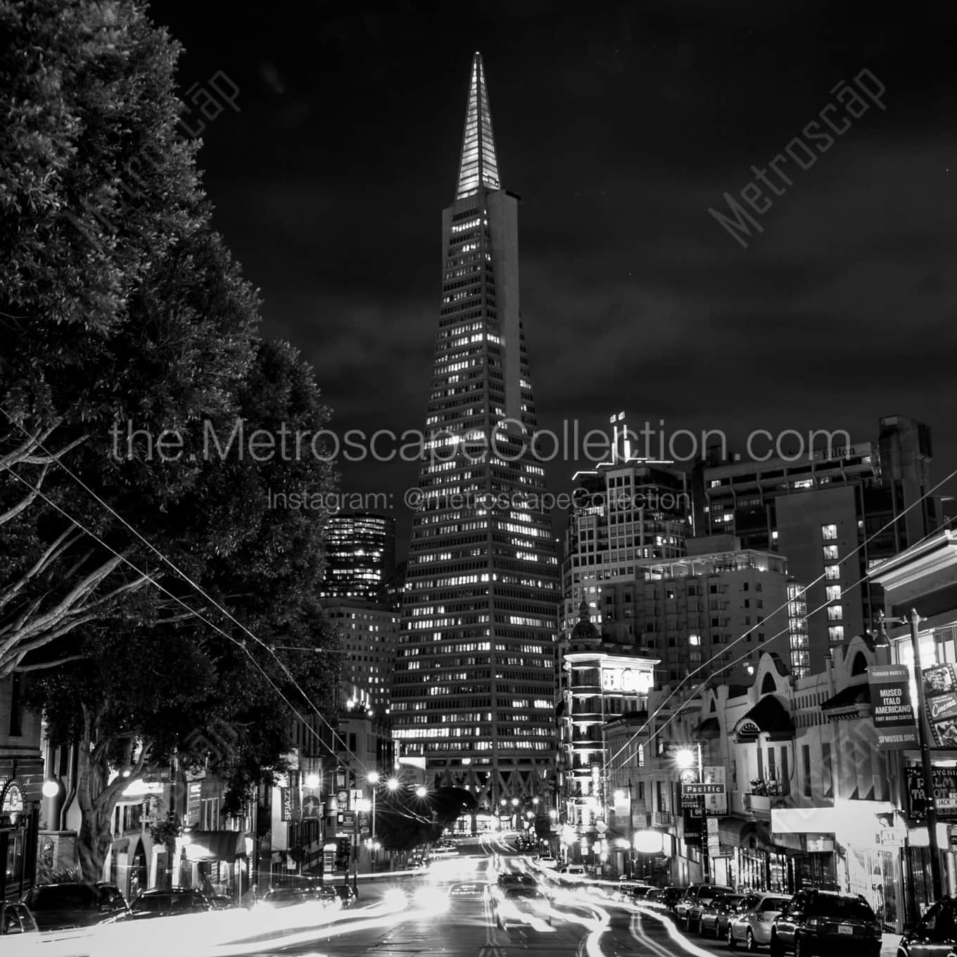 Columbus Drive at Night landscape black and white Photography square crop