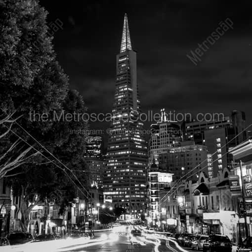Matte Black WOOD Framed Black and White San Francisco Photograph: Columbus Drive at Night in a Square Matte Black Wood Frame