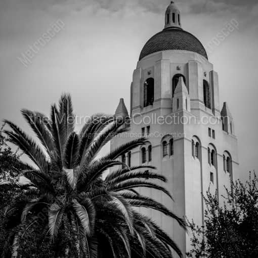 Matte Black WOOD Framed Black and White San Francisco Photograph: Hoover Tower on Stanford University Campus in a Square Matte Black Wood Frame
