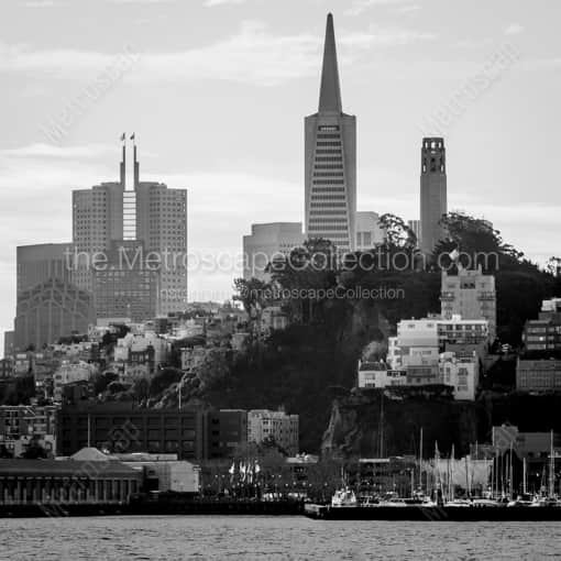 Matte Black WOOD Framed Black and White San Francisco Photograph: Telegraph Hill and San Francisco Skyline in a Square Matte Black Wood Frame