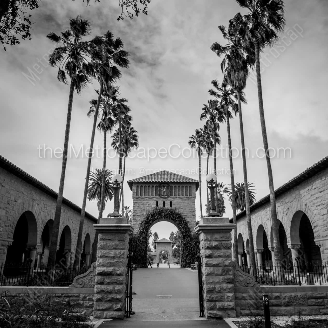 The Stanford Main Quad landscape black and white Photography square crop