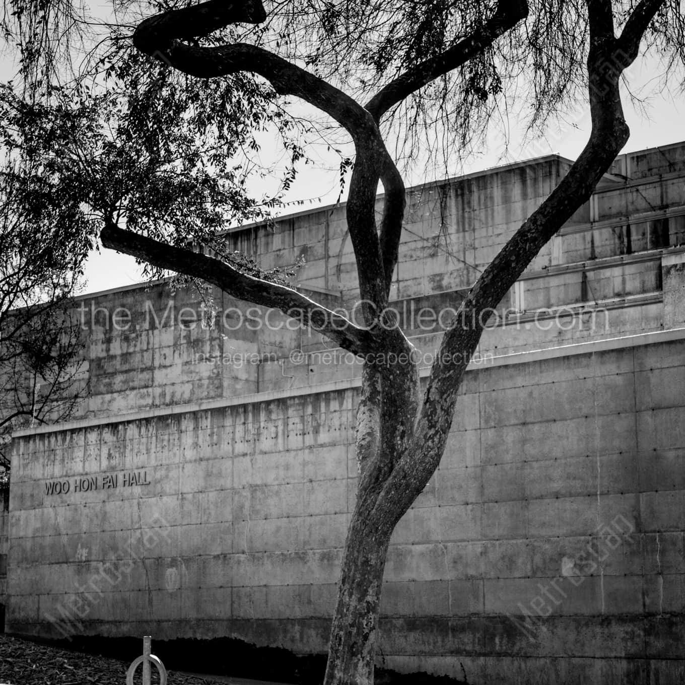 Woo Hon Fai Hall on the UC Berkeley Campus landscape black and white Photography Woo Hon Fai Hall on the UC Berkeley Campus landscape black and white Photography square crop