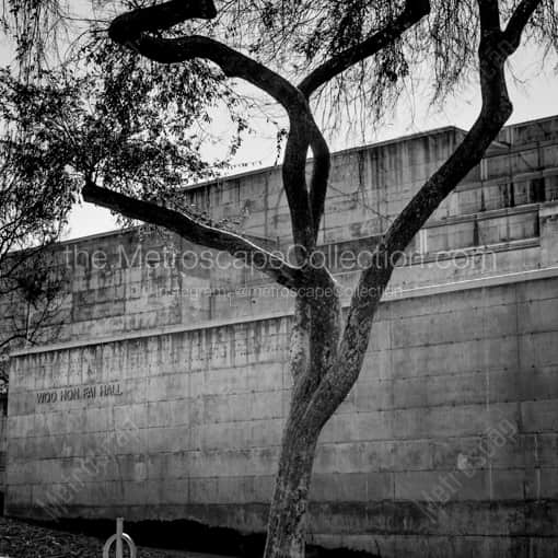 Matte Black WOOD Framed Black and White San Francisco Photograph: Woo Hon Fai Hall on the UC Berkeley Campus in a Square Matte Black Wood Frame