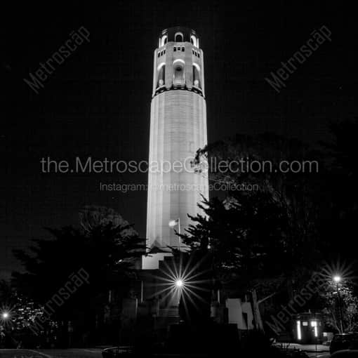 Matte Black WOOD Framed Black and White San Francisco Photograph: Coit Tower at Night in a Square Matte Black Wood Frame