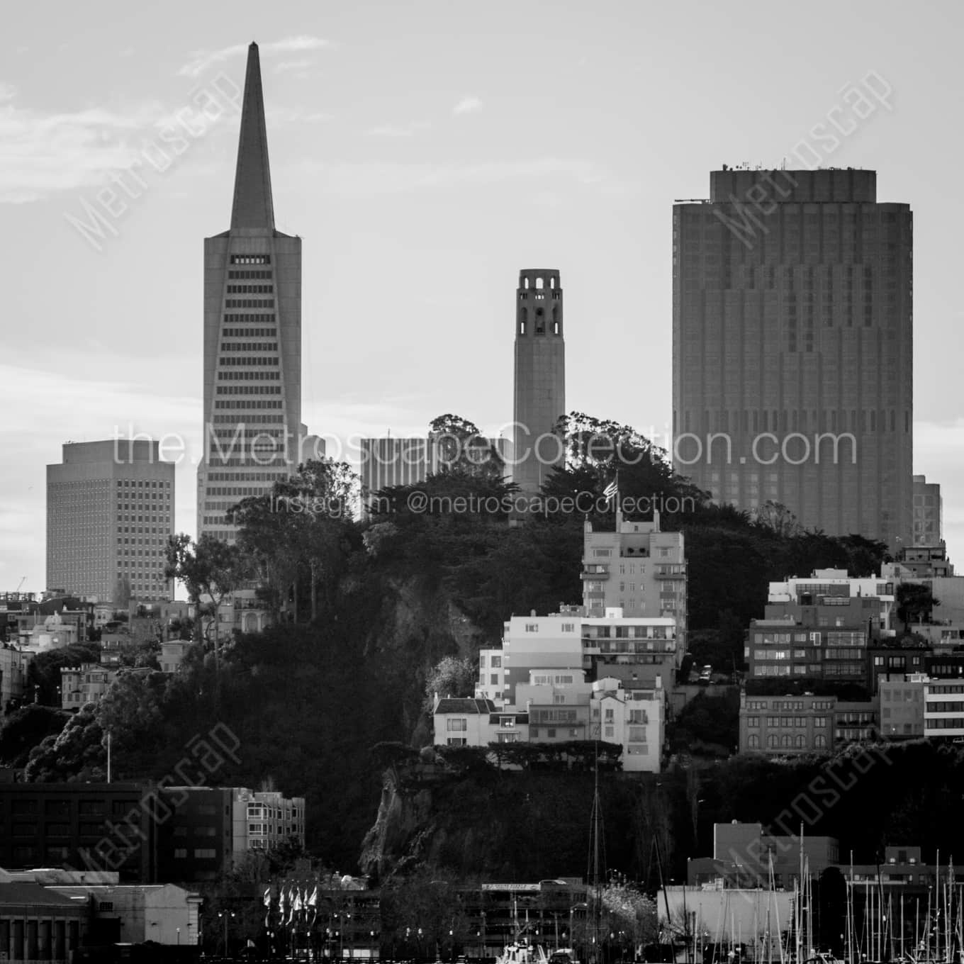 Telegraph Hill in Downtown San Francisco landscape black and white Photography square crop
