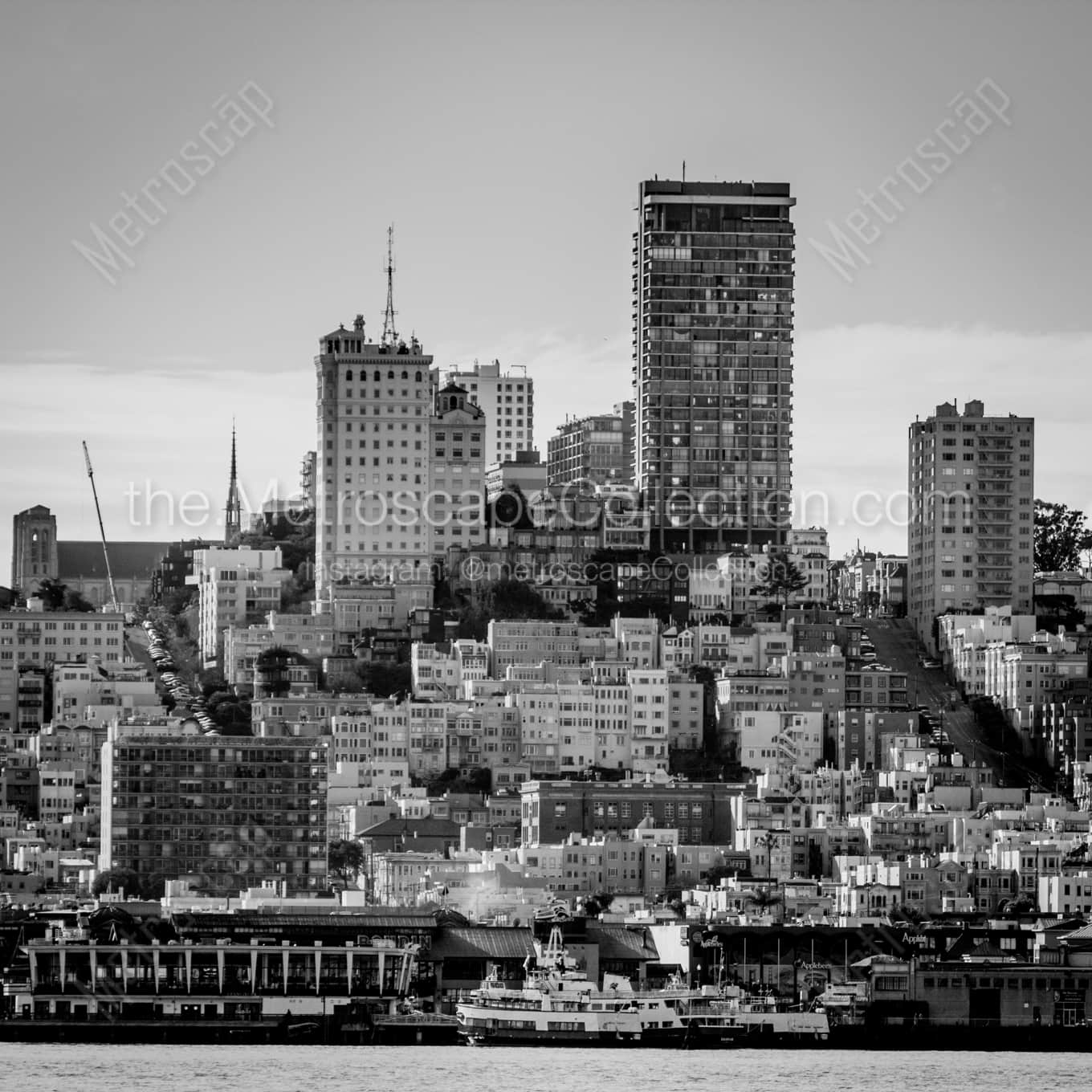 Nob Hill landscape black and white Photography Nob Hill landscape black and white Photography square crop