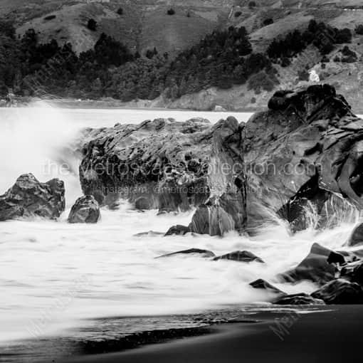 Matte Black WOOD Framed Black and White San Francisco Photograph: A Lone Sea Gull in a Square Matte Black Wood Frame