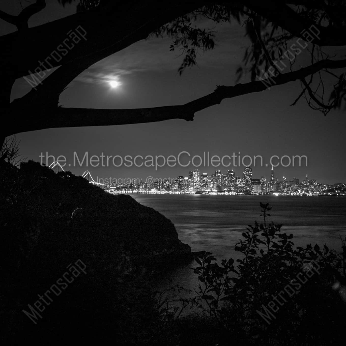 The San Francisco Skyline from Yerba Buena Island landscape black and white Photography square crop