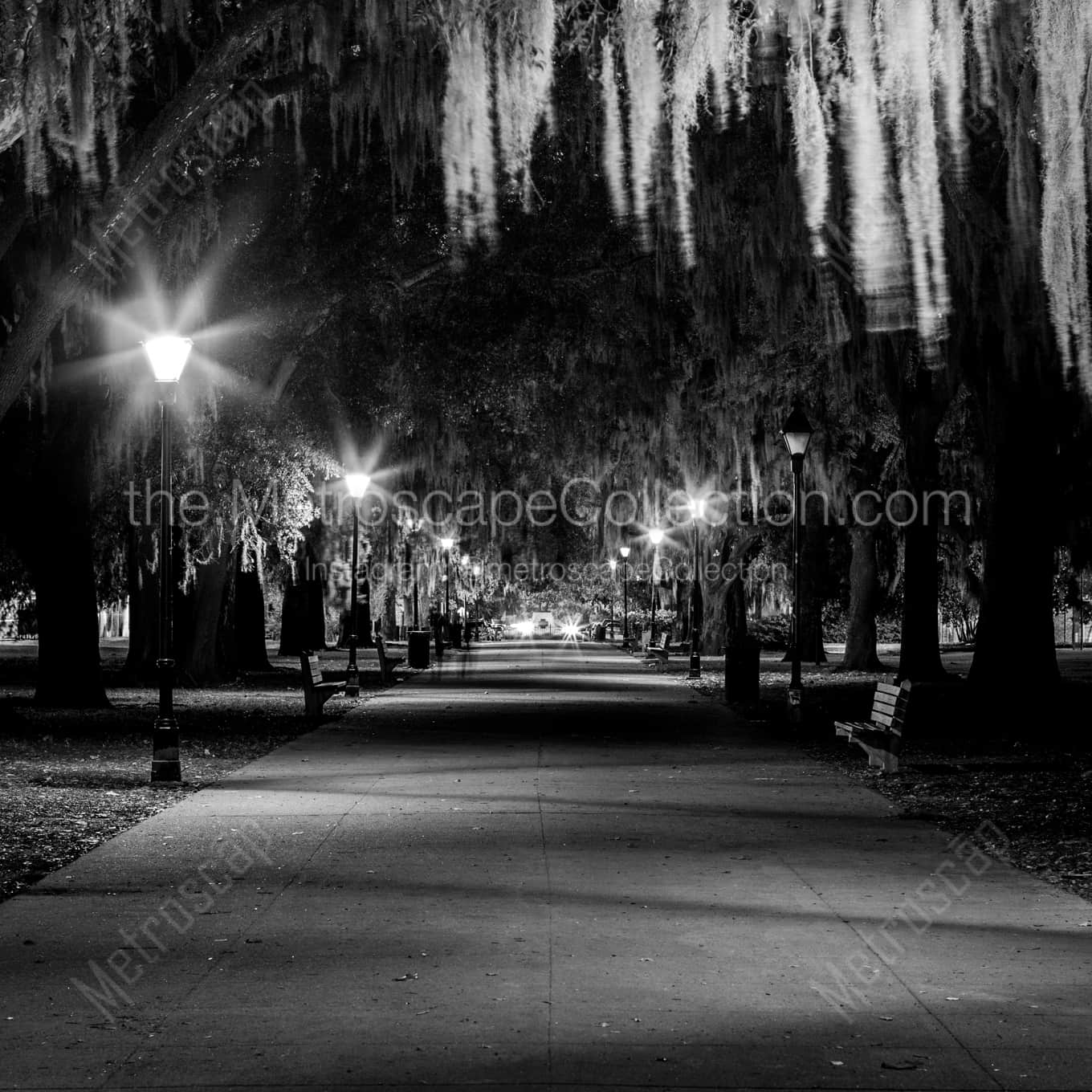 The Central Path Through Forsyth Park landscape black and white Photography The Central Path Through Forsyth Park landscape black and white Photography square crop