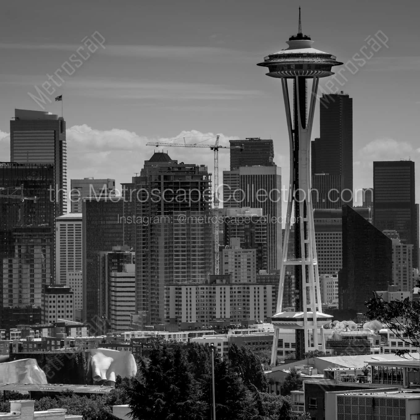Daytime Seattle Skyline from Queen Anne Hill landscape black and white Photography square crop