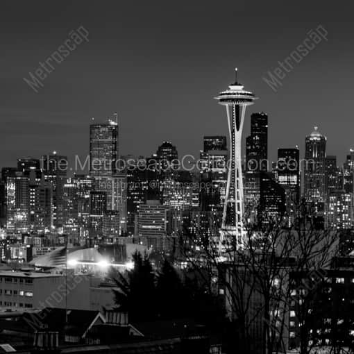 Matte Black WOOD Framed Black and White Seattle Photograph: Downtown Seattle at Night in a Square Matte Black Wood Frame