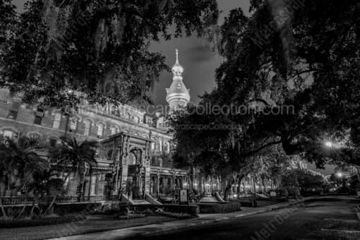 The Henry B Plant Museum -- Tampa Black and White Photography