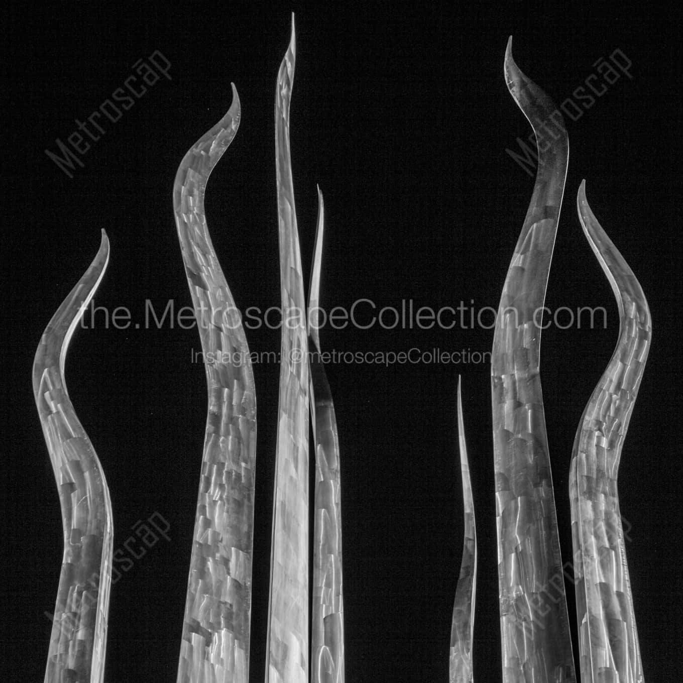 The Top of the Sticks of Fire Sculpture in Plant Park landscape black and white Photography square crop