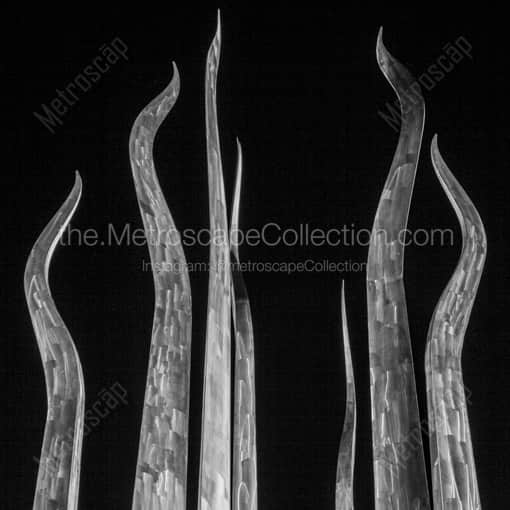 Matte Black WOOD Framed Black and White Tampa Photograph: The Top of the Sticks of Fire Sculpture in Plant Park in a Square Matte Black Wood Frame