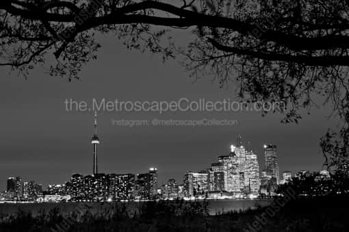 The Toronto Skyline at Night -- Toronto Black and White Photos