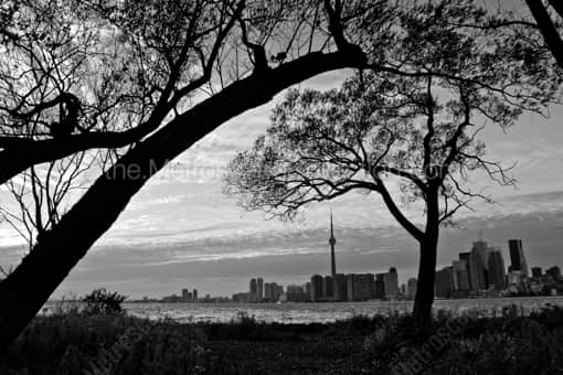 Toronto from Wards Island -- Toronto Black and White Photos