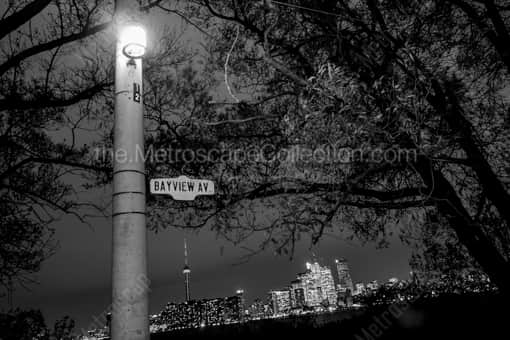 The Toronto Skyline at Night -- Toronto Black and White Photos